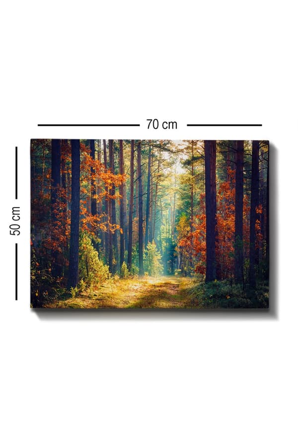 Dekorativt lerretsmaling Kanvas Tablo (50 x 70) - 274