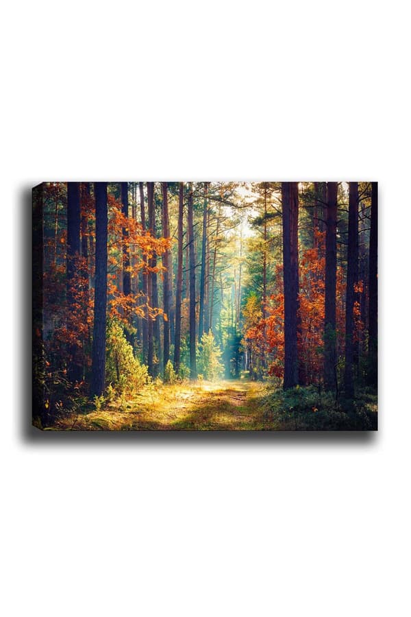 Dekorativt lerretsmaling Kanvas Tablo (50 x 70) - 274