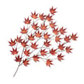 Pikkukuva 6 / 8: Koristeellinen metalliseinätarvikkeet Acer Palmatum