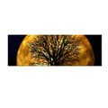 Miniatyrbilde 6 av 6: Dekorativt LED-belyst lerretsmaleri 3090DACT-71