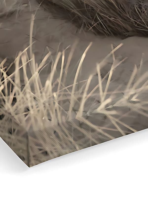 Dekorativt lerretsmaling Artcanvas105