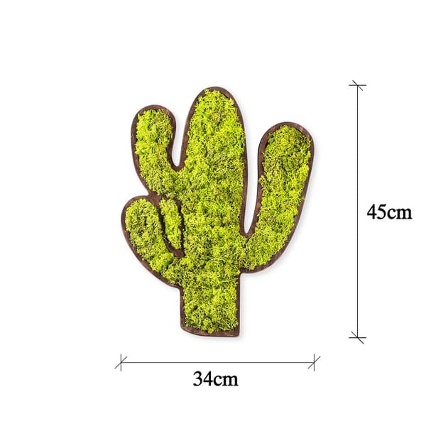 Dekorativt vægtilbehør Cactus