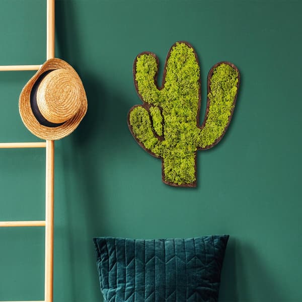 Dekorativt vægtilbehør Cactus