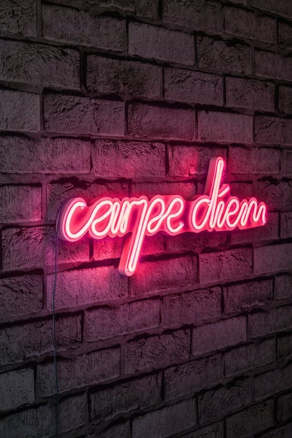 Dekorativ Plast Led-belysning Carpe Diem - Rosa