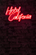 Miniatyrbild 3 av 7: Dekorativ Plast Led-belysning Hotel California - Röd