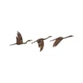 Pikkukuva 6 / 8: Koristeellinen metalliseinätarvike Rusty Birds 1