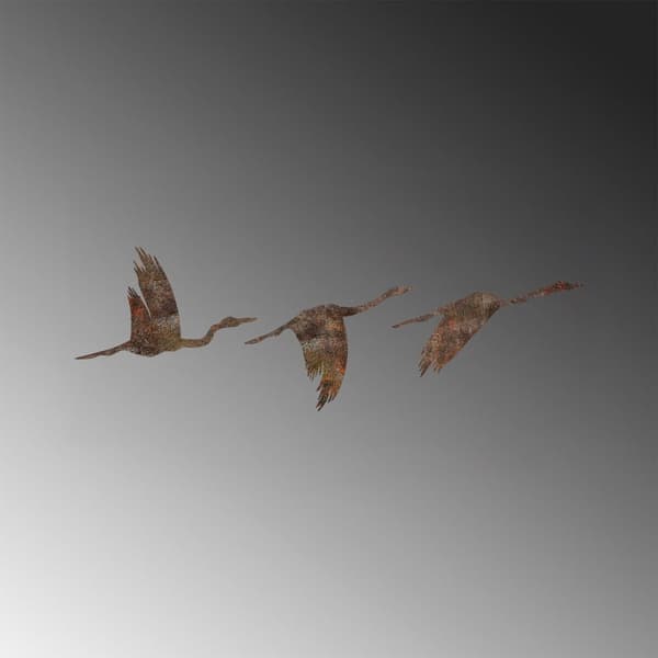 Koristeellinen metalliseinätarvike Rusty Birds 1
