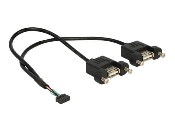 Delock - USB-intern till extern kabel - 10-stifts USB-överdel (hona) till USB (hona) - 25 cm - svart