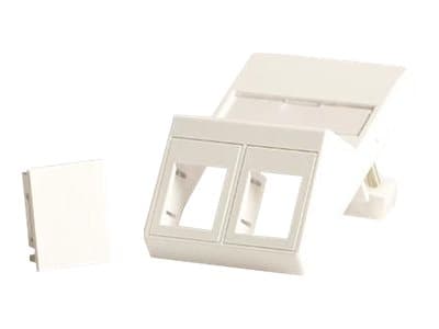 Lanview - Veggplate - passer 50x75 mm LK FUGA uttak - med merkevindu - RJ 45 - vinklet