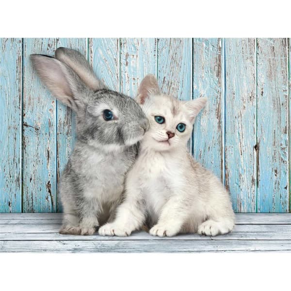 500 stk. CB HQC Cat & Bunny