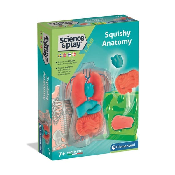 Mini Squishy-organ