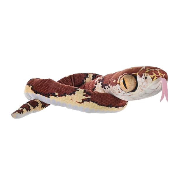 WR Snakesss 137 cm. Blunthodet Imantodes Cenchoa