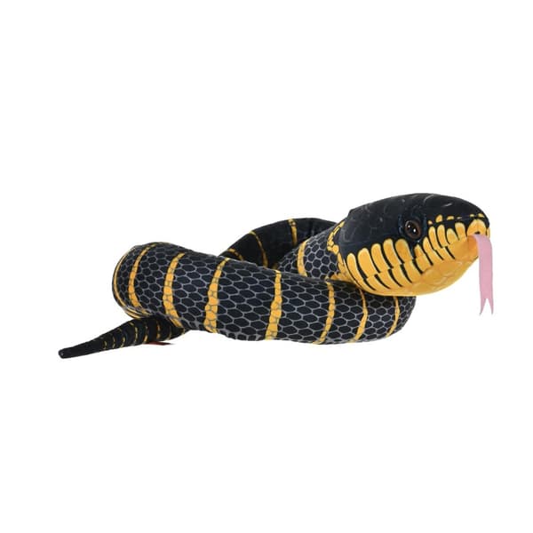WR Snakesss 137 cm. Black Fanged Mangrove