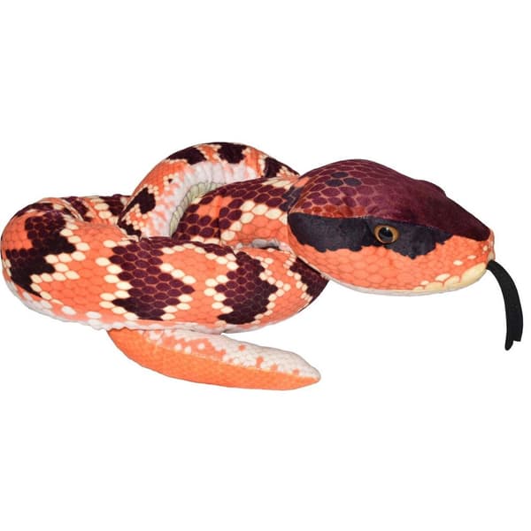 WR Snakesss 137 cm. Eastern Cotton Mouth