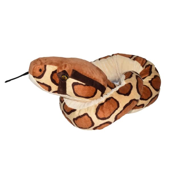 WR Snakesss 137 cm. Burmesisk Python