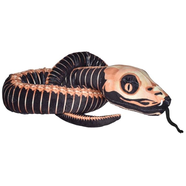 WR Snakesss 137 cm. Skjelett