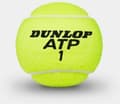 Pikkukuva 2 / 2: Dunlop ATP Championship - tennispallo, 8 kpl