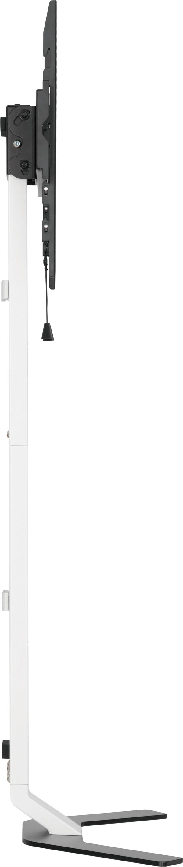 Mozi Art Series FS-11 - gulvstativ til 37-80" tv