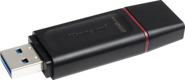 Kingston DataTraveler Exodia 256 GB USB-minne