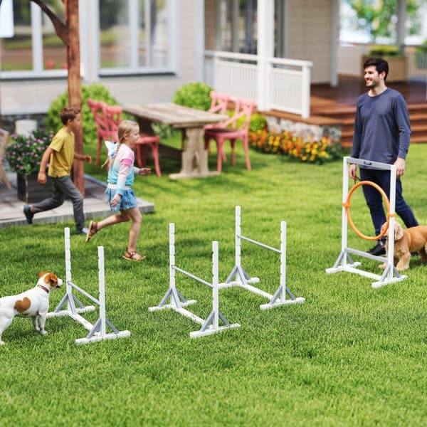 Agility-sæt Hunde 4-delt Agility-udstyr til hundetræning Hækkesæt med højdejusterbare hække Dæk Træningstilbehør Koordinationstræning Agility-sæt til