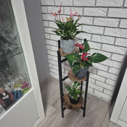 Stående blomsterstativ 80cm Ruhhy 25627