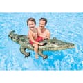 Miniatyrbillede 8 af 9: INTEX 57551 luftmadras