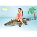 Miniatyrbillede 9 af 9: INTEX 57551 luftmadras