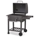 Miniatyrbillede 6 af 9: Berdsen BD-891 kulgrill