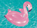 Miniatyrbillede 4 af 7: Oppusteligt legetøj til børn Flamingo 127 x 127 cm Bestway 41122