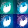 Miniatyrbild 2 av 4: Flerfärgad LED Intex 28503 SPA-lampa