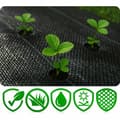 Miniatyrbilde 6 av 7: Hageagrotekstil 1,6 m x 50 m 70 g/m2 + 50 Plonos-stifter - svart