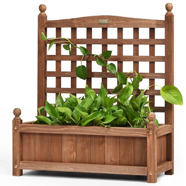 Hagespalier blomsterkasse med espalier planter i heltre 64,5 x 28 x 75 cm mørkebrun