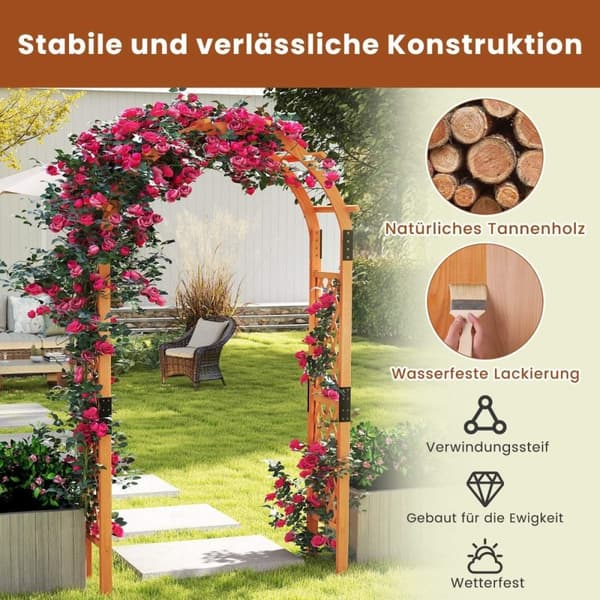 Trerosebue for klatreplanter hagebue buegang espalier klatrehjelp espalier