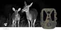 Miniatyrbillede 7 af 8: Wildlife Kamera | 4K@10fps | 50 MPixel | 8 MPixel CMOS | IP65 | Sort No-Glow IR | Nattesyn | Synsvinkel: 100 ° | Bevægelsessensor | Detektionsvinkel: