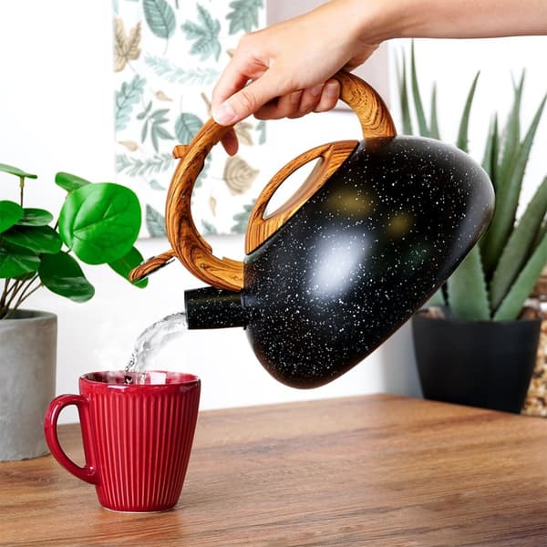 Vattenkokare med visselpipa, stål, svart, 3 l