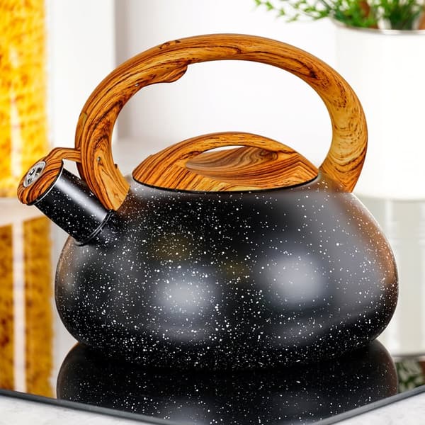 Vattenkokare med visselpipa, stål, svart, 3 l