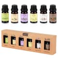 Miniatyrbilde 1 av 7: Sett med eteriske oljer 10 ml 6 stk.