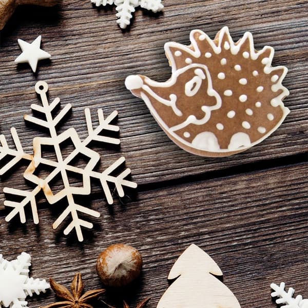 Cookie cutter pinnsvin i stål 5 cm