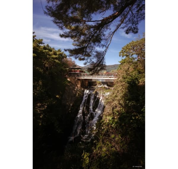 Samyang AF 12mm f/2.0 RF-S objektiv för Canon