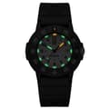 Miniatyrbild 2 av 3: LUMINOX MOD. XS-3007-EVO-S