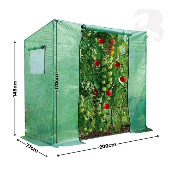 Tomatdrivhus 148-170x77x200