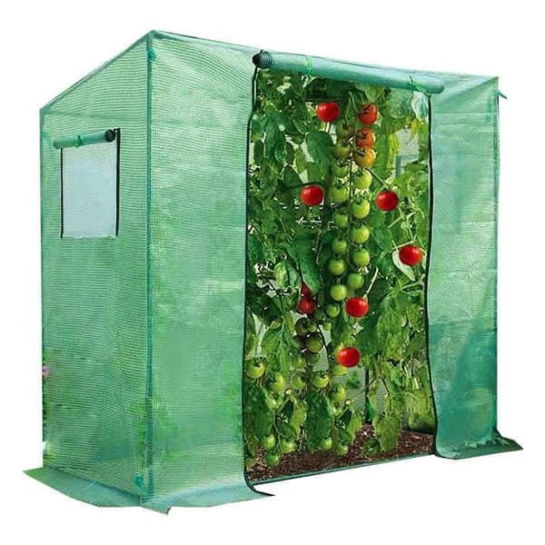 Tomatdrivhus 148-170x77x200
