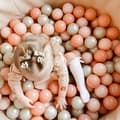 Miniatyrbillede 4 af 4: Sæt med 200 bolde til tør pool 7