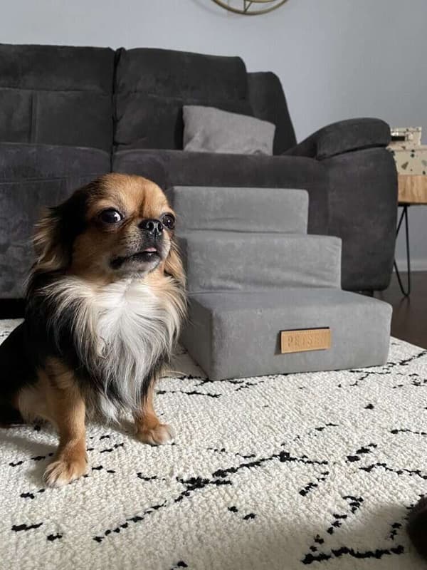 Hund/katttrappa 3 trappsteg - beige