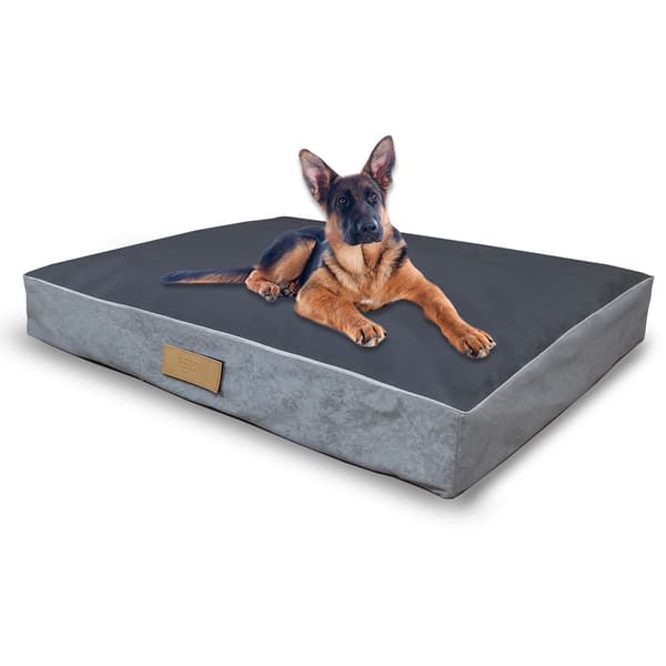 Personlig hundemadrass Dogeste XL Grå