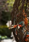 Miniatyrbilde 2 av 8: Cocoon Hanging Swing Pute - Papegøyer