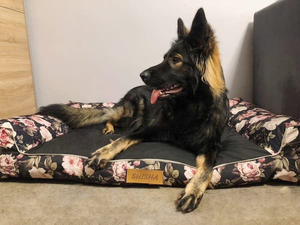 Hundeseng sort + roser XL med personalisering