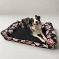 Miniatyrbillede 2 af 7: Hundeseng sort + roser XL med personalisering