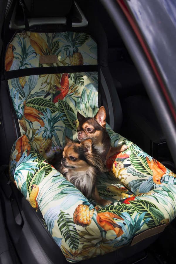 Bærer til hund eller katt med papegøyemønster, personlig
