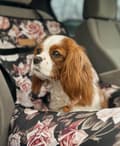 Miniatyrbilde 3 av 10: Hunde- eller kattebærer med roser og personalisering